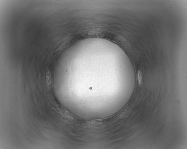 X0000064731107200602241707