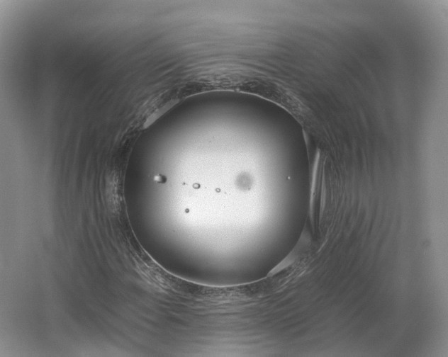 X0000064731108200602241707