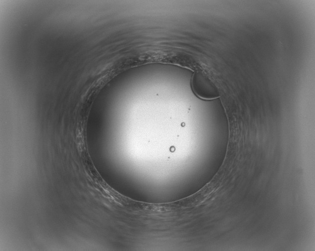 X0000064731109200602241707