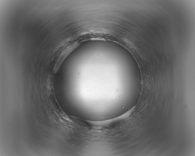 X0000064731110200602241707