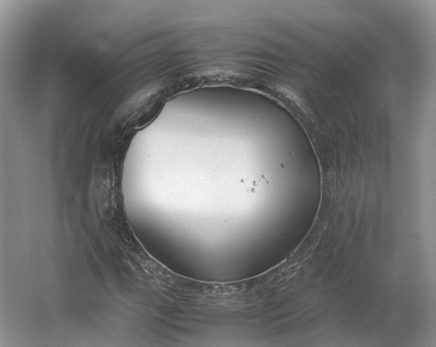 X0000064731111200602241707