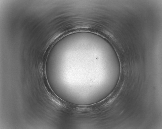 X0000064731113200602241707