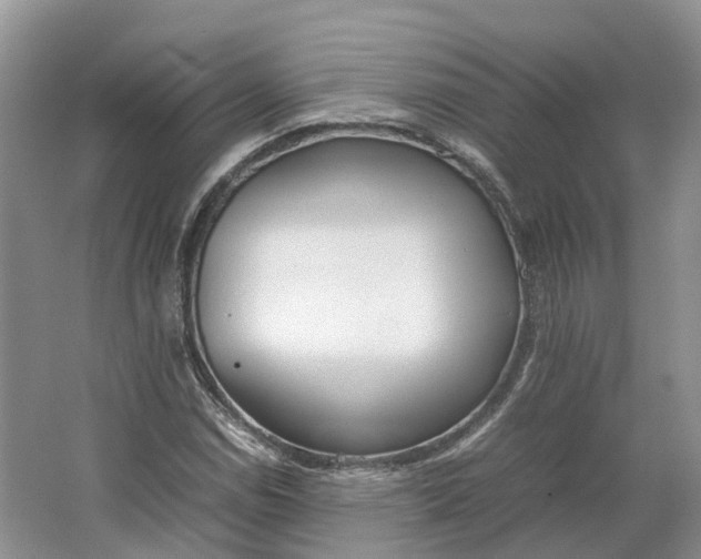 X0000064731114200602241707