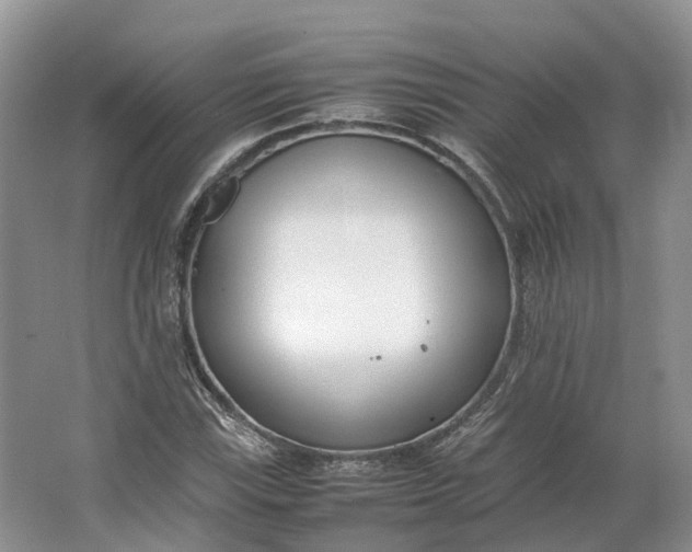 X0000064731115200602241707