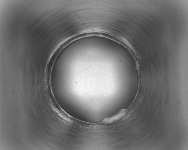 X0000064731116200602241707