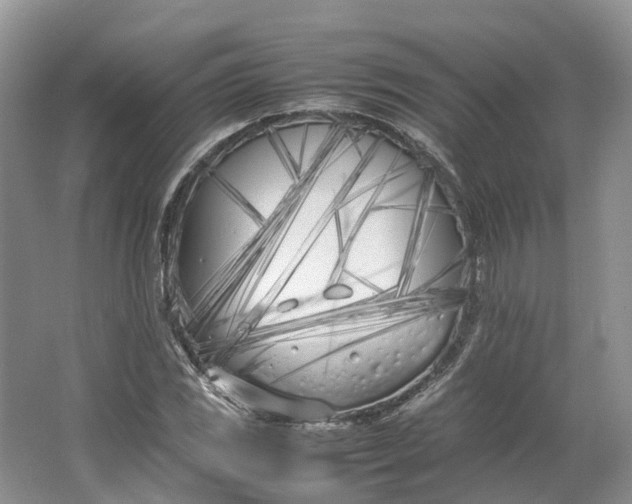 X0000064731117200602241707