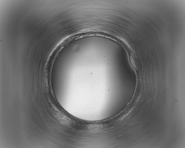 X0000064731118200602241707