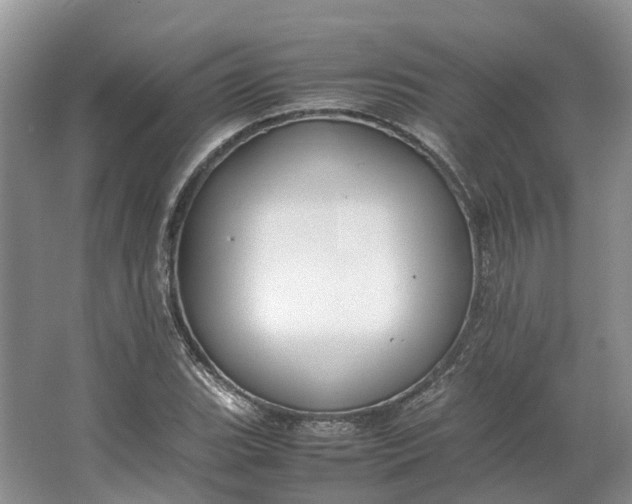 X0000064731119200602241707