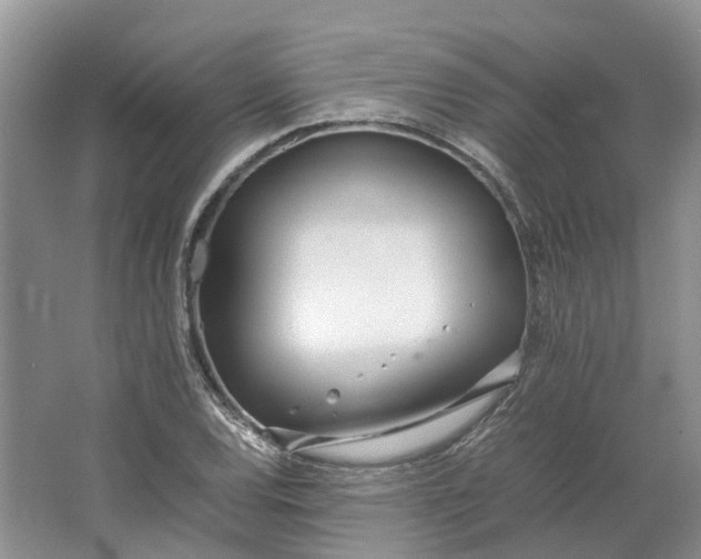 X0000064731120200602241707