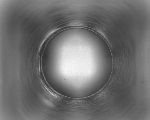 X0000064731123200602241708