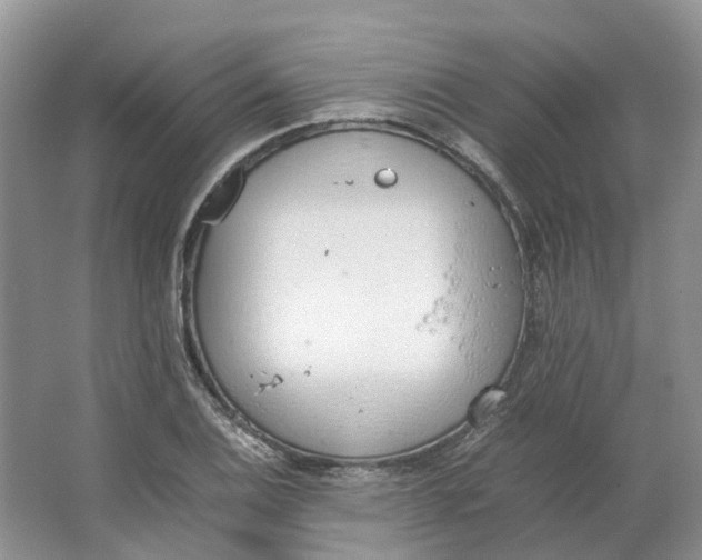 X0000064731124200602241708