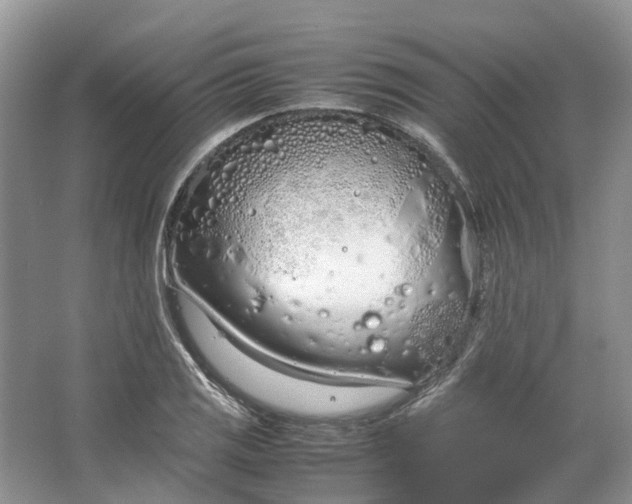 X0000064731125200602241708