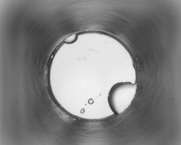 X0000064731126200602241708