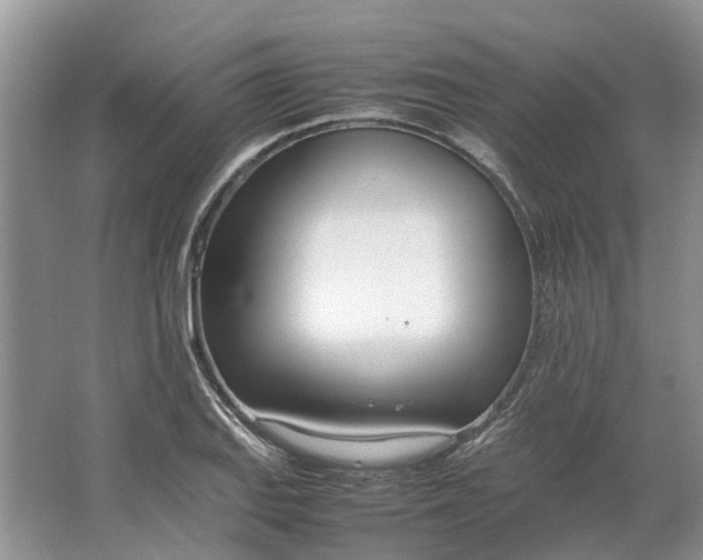 X0000064731127200602241708