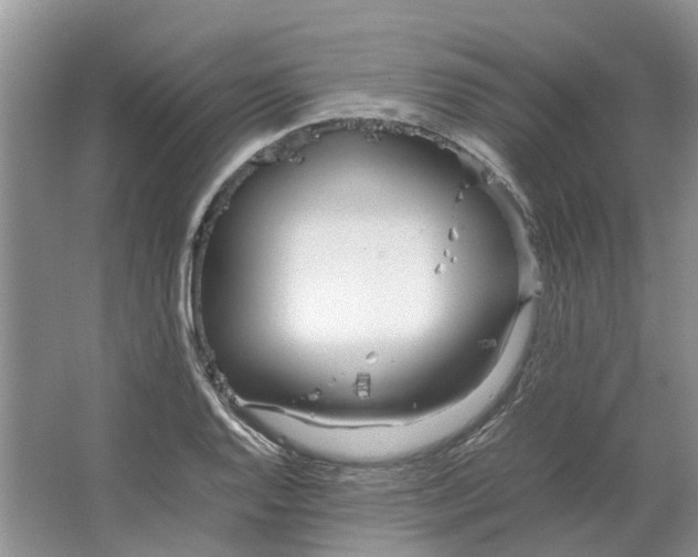 X0000064731128200602241708