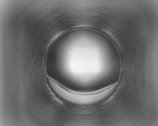 X0000064731129200602241708