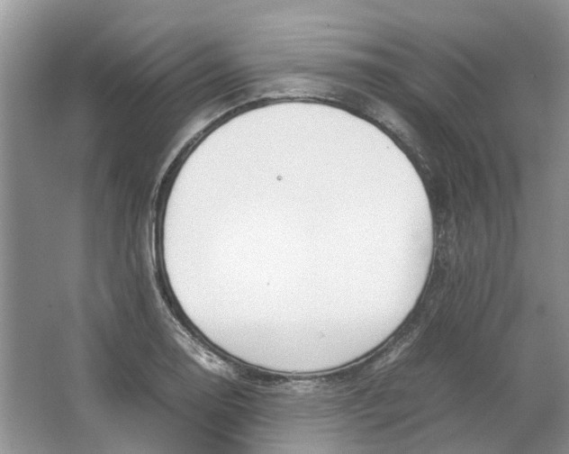 X0000064731130200602241708