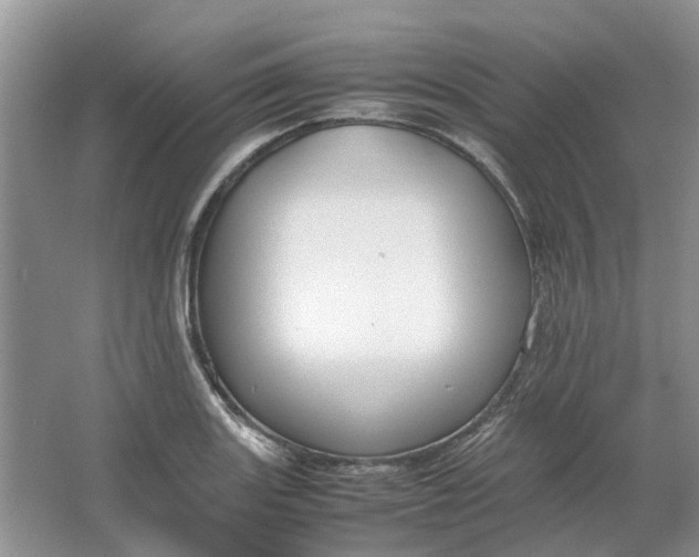 X0000064731131200602241708