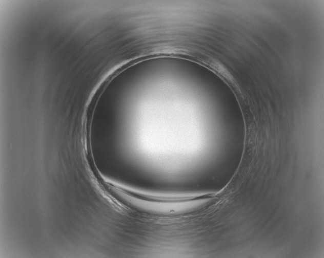 X0000064731132200602241708