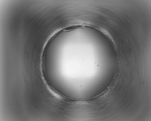 X0000064731136200602241708