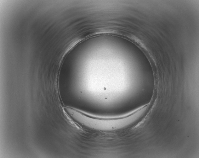 X0000064731137200602241708