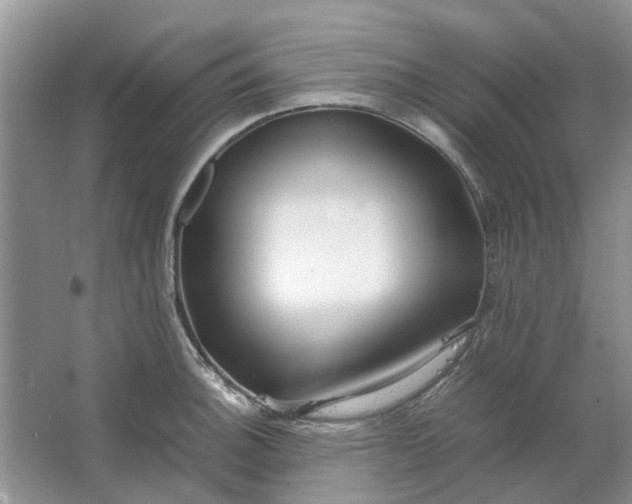 X0000064731140200602241708