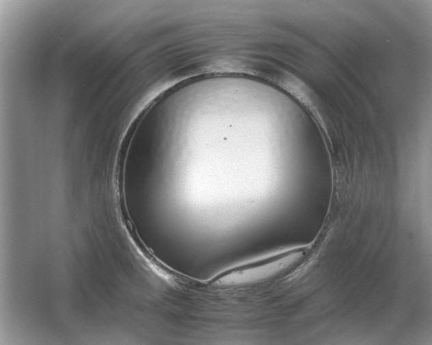 X0000064731141200602241708