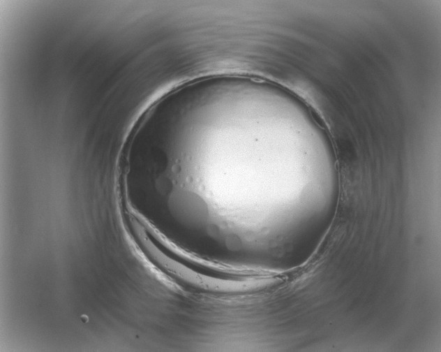 X0000064731142200602241708