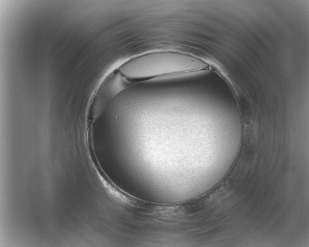 X0000064731143200602241708