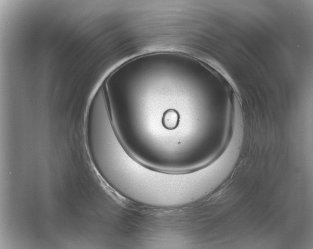 X0000064731148200602241708