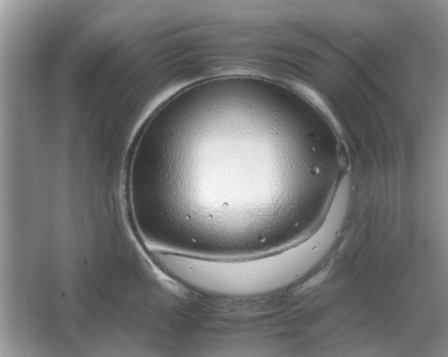 X0000064731149200602241708