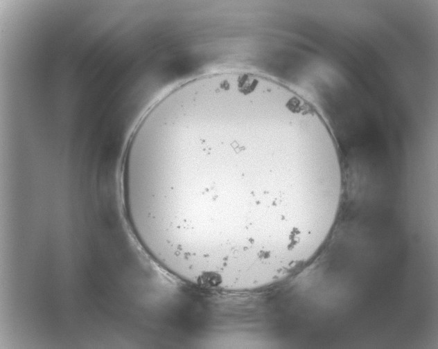 X0000064731150200602241708