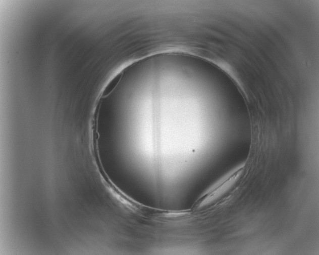 X0000064731151200602241708