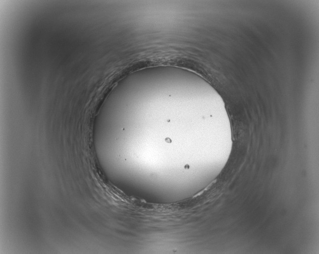 X0000064731153200602241707