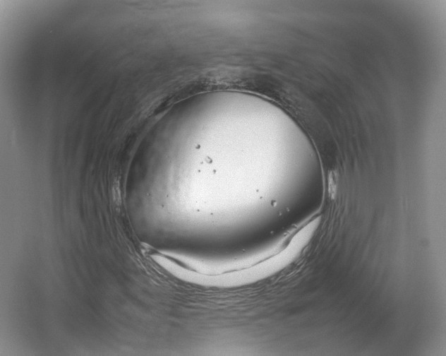 X0000064731155200602241707