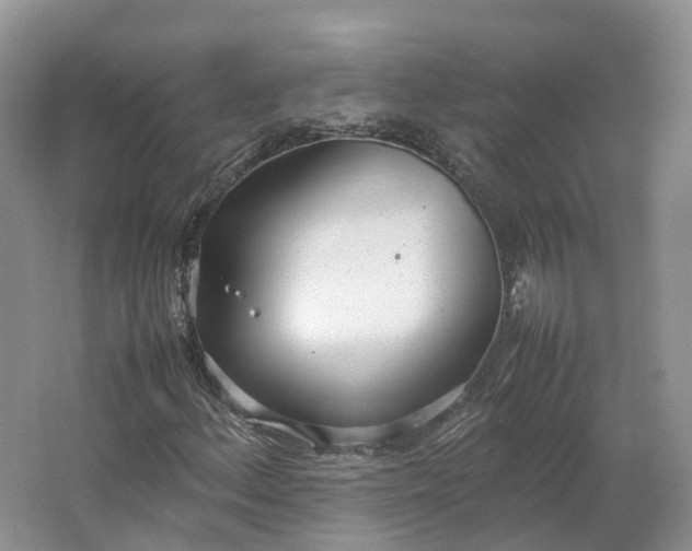 X0000064731156200602241707