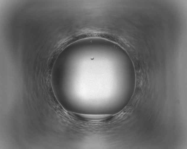 X0000064731157200602241707