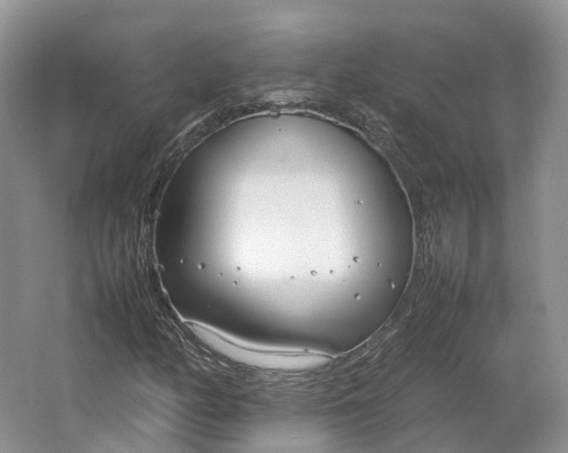 X0000064731158200602241707