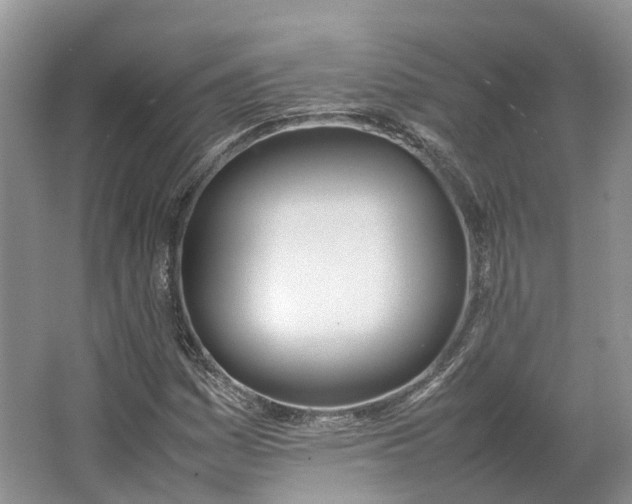 X0000064731161200602241707