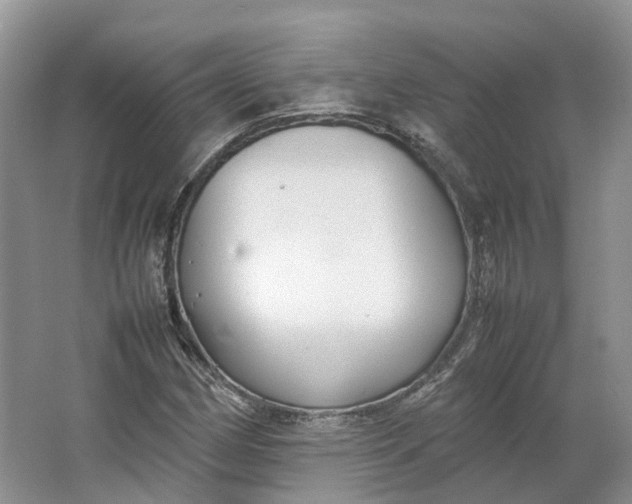 X0000064731162200602241707