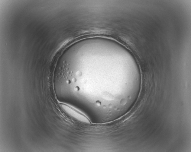 X0000064731163200602241707