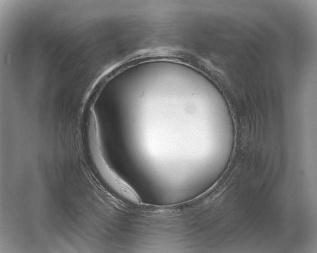 X0000064731166200602241707