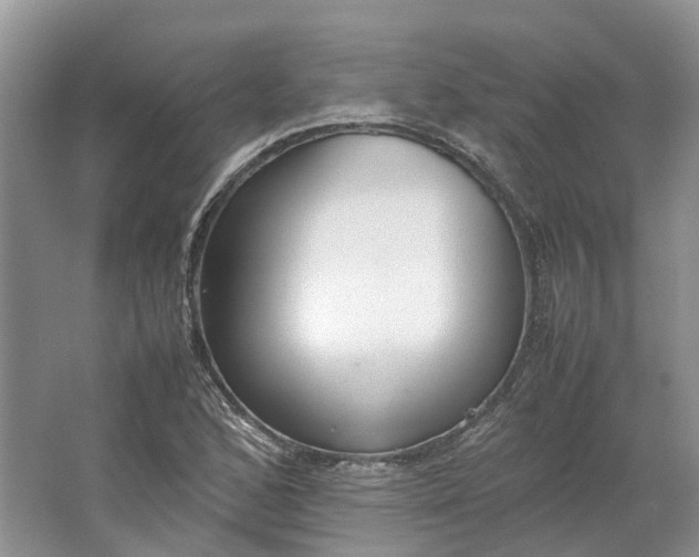 X0000064731168200602241707