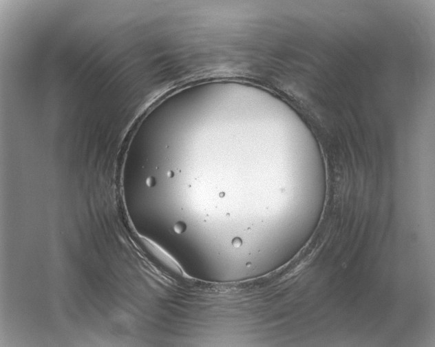 X0000064731170200602241707