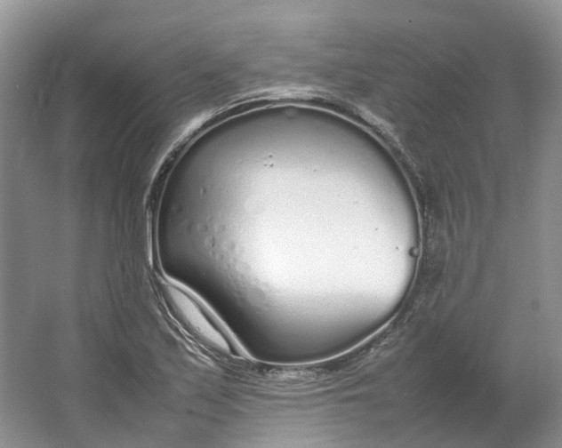 X0000064731171200602241707