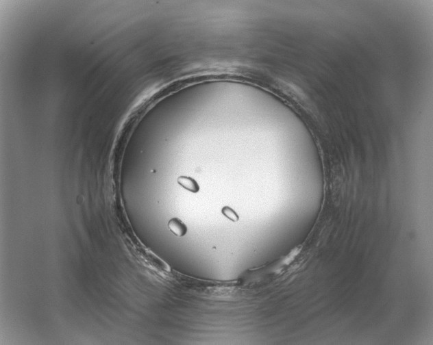 X0000064731172200602241707