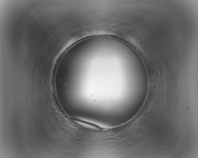 X0000064731173200602241707