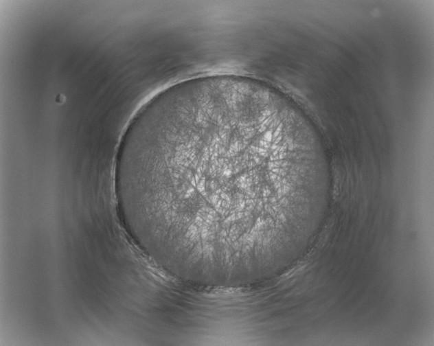 X0000064731174200602241707