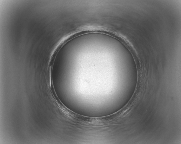 X0000064731175200602241707