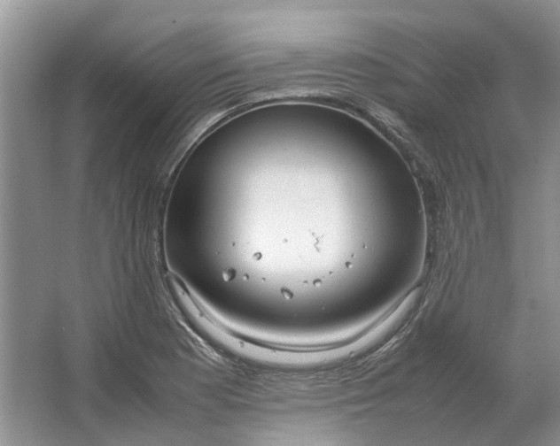 X0000064731177200602241706